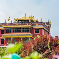 Half-day Tours