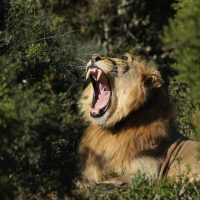 Sustainable Tours