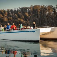 Cruises, Sailing & Water Tours