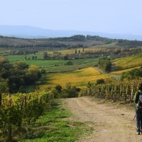 Hiking & Camping