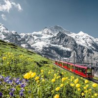 Bus & Minivan Tours