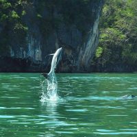 Day Trips & Excursions
