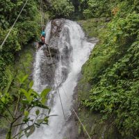 Half-day Tours