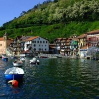 Bus & Minivan Tours