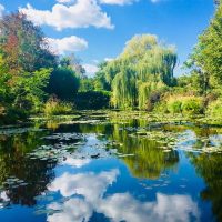 Holiday & Seasonal Tours