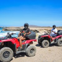 Shore Excursions