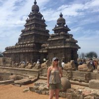 Bus & Minivan Tours