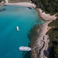 Port Transfers