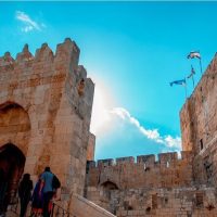 Walking Tours