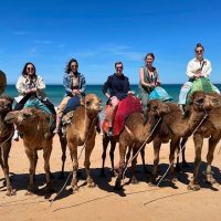 Cultural Tours