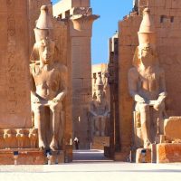 Half-day Tours