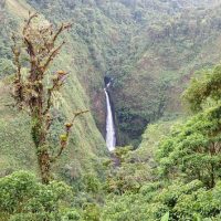 Luxury Tours