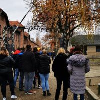 Bus & Minivan Tours