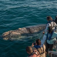 Photography Tours