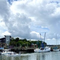 Half-day Tours