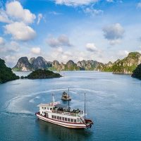 Day Cruises