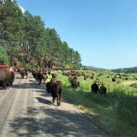 Full-day Tours
