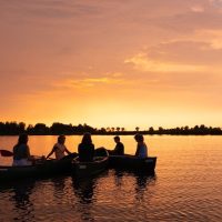 Eco Tours