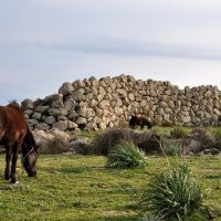 Archaeology Tours