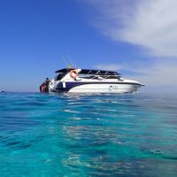 Boat Tours