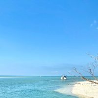 Half-day Tours