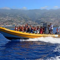 Holiday & Seasonal Tours