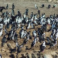Cruises, Sailing & Water Tours
