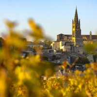 Bus & Minivan Tours