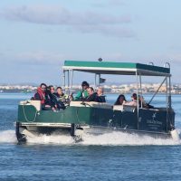 Cruises, Sailing & Water Tours