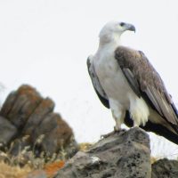 Nature & Wildlife