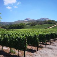 Private & Custom Tours