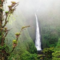 Day Trips & Excursions
