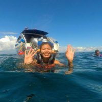 Bus & Minivan Tours