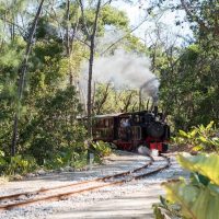 Day Trips & Excursions