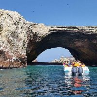 Full-day Tours