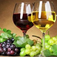 Wine Tasting & Winery Tours