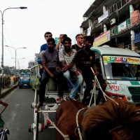 Bus & Minivan Tours