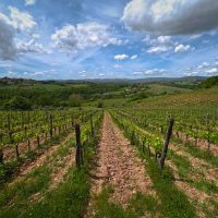 Walking & Biking Tours