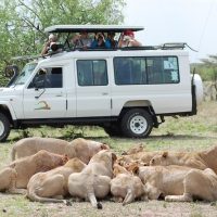 4WD, ATV & Off-Road Tours