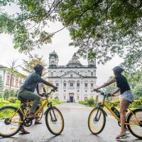 Archaeology Tours