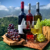 Wine Tasting & Winery Tours