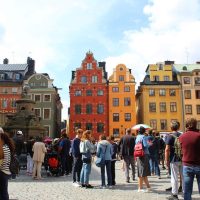 Luxury Tours