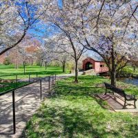 Cultural & Theme Tours