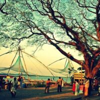 Boat Tours