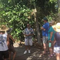 Shopping Tours