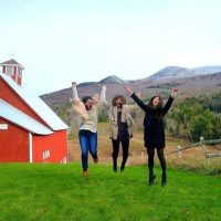 Bus & Minivan Tours