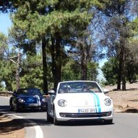 Audio Guided Tours