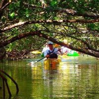 Kayaking & Canoeing