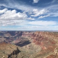 Bus & Minivan Tours