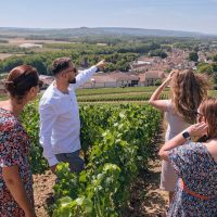 Half-day Tours